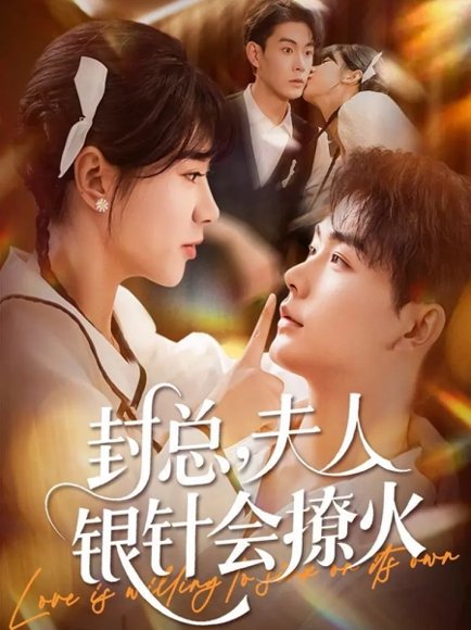 封总，夫人银针会撩火（69集）张昊＆徐海文 高清完整版