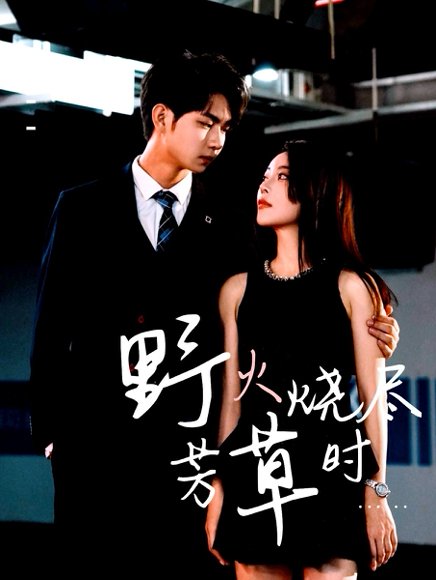 野火烧尽芳草时（65集）黄垚＆闫妍 高清完整版