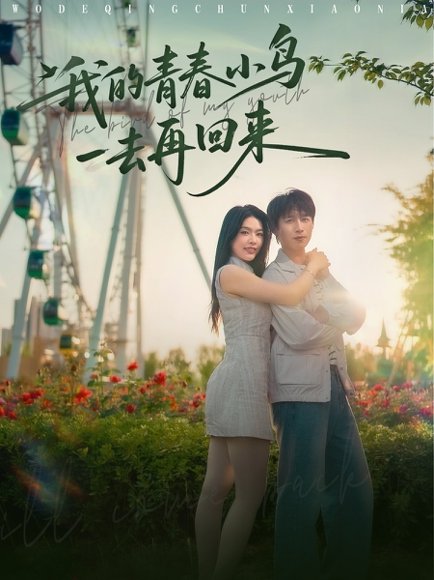 我的青春小鸟一去再回来（95集）严浩&刘彦君&瑞子&王希如 高清完整版