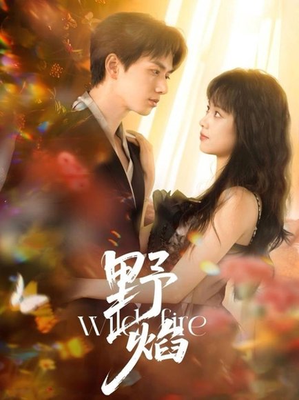 野焰（60集）陈政阳＆郑千亦 高清完整版