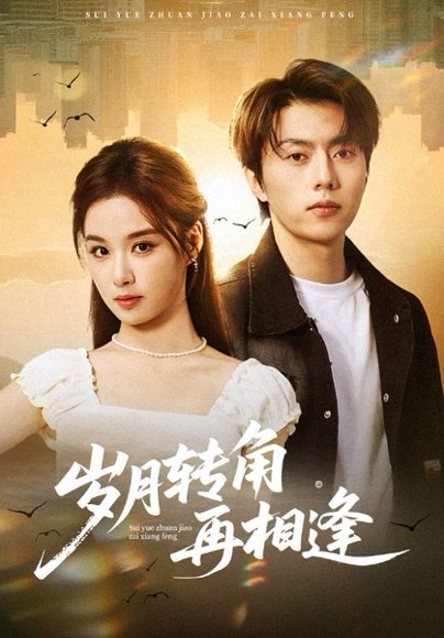 岁月转角再相逢（80集）张磊&王宇婧 高清完整版